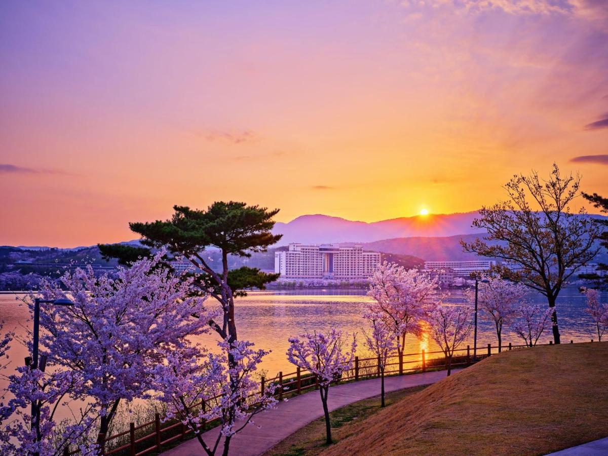 Sono Belle Gyeongju Hotel Exterior photo